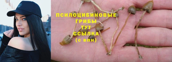 бутират Алзамай